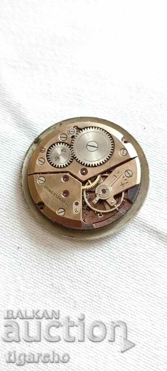 Delivery of Swiss Watch Machine Delivery of Swiss Watch Machine