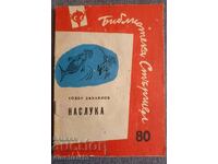 Hornet No. 80 - Nasluka: Todor Danailov