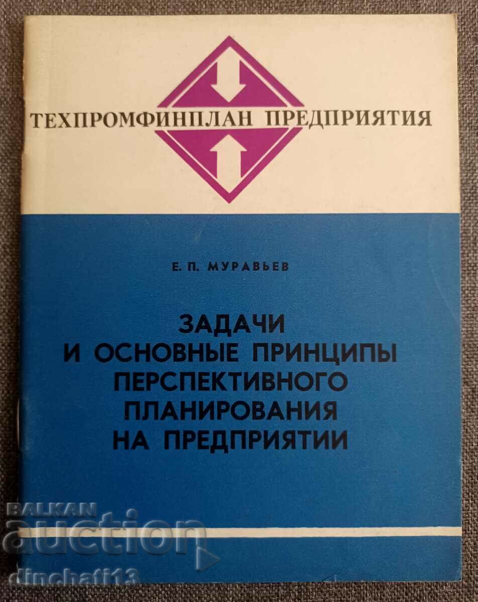 Tasks and basic principles - E. P. Muraviev