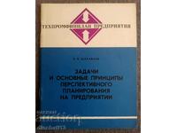 Sarcini și principii de bază - E. P. Muraviev