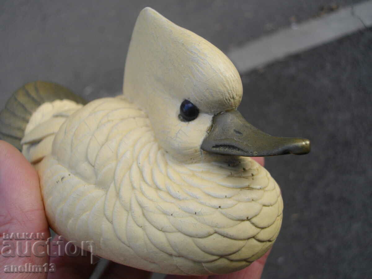 ΠΟΥΛΙ ΠΑΛΙΑ ΦΙΓΟΥΡΑ - 5