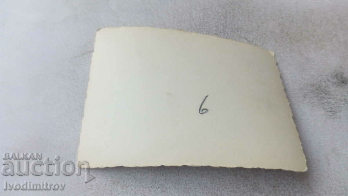 Photo Men and women on an alley in the park with price 0.85 BGN | € 0.43 Photo Men and women on an alley in the park with price 0.85 BGN | € 0.43