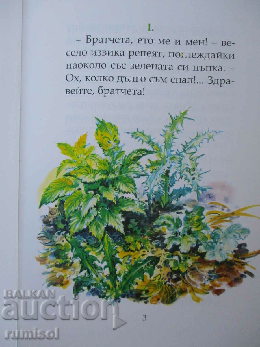 Auction Tale of the green war - D. N. Mamin-Sibiryak Auction Tale of the green war - D. N. Mamin-Sibiryak