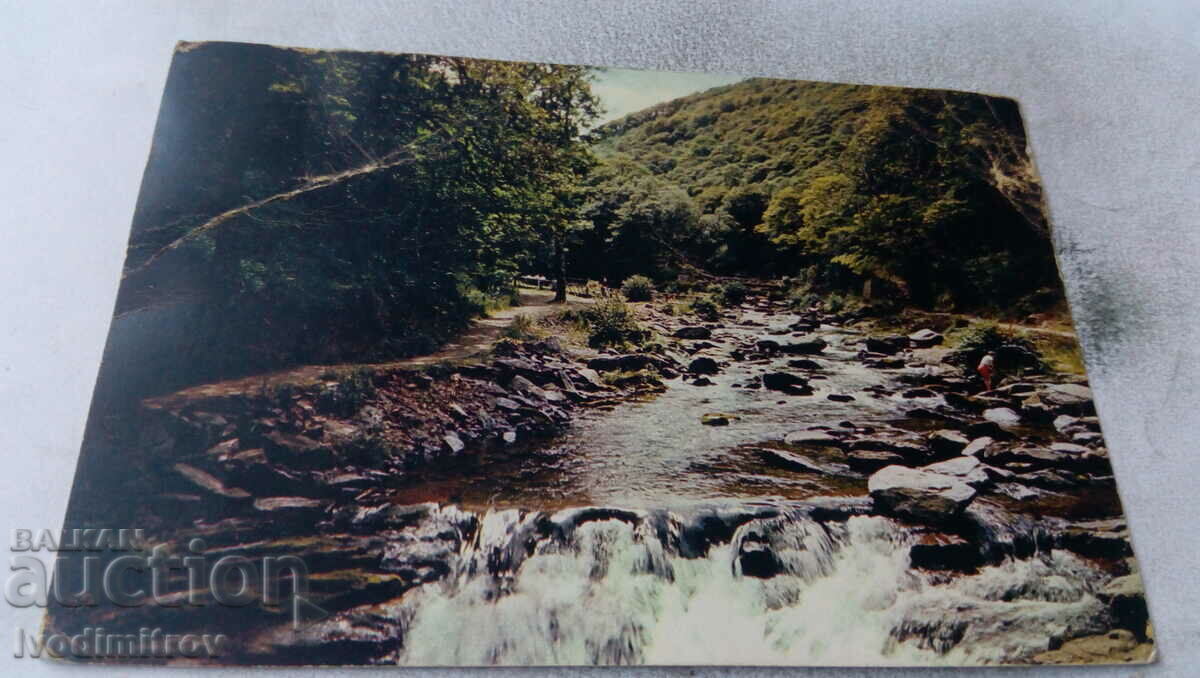 Watersmeet Valley North Devon Postcard