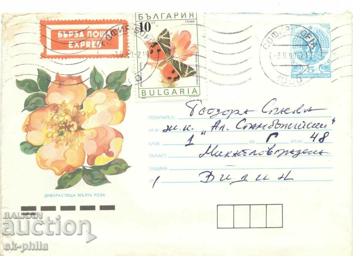 Пощенски плик - Диворастяща жълта  роза