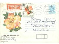 Пощенски плик - Диворастяща жълта  роза