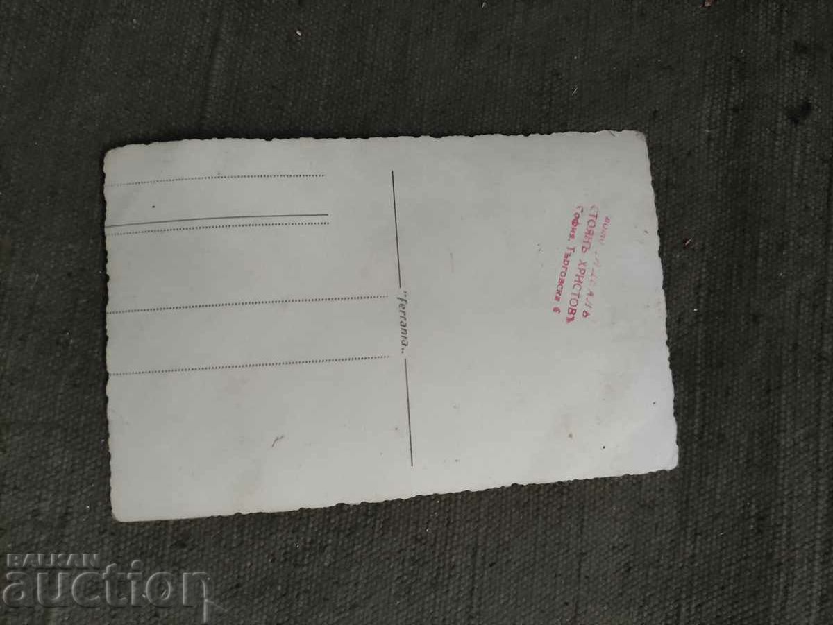 Wedding, wedding guests with price 20.00 BGN | € 10.23 Wedding, wedding guests with price 20.00 BGN | € 10.23