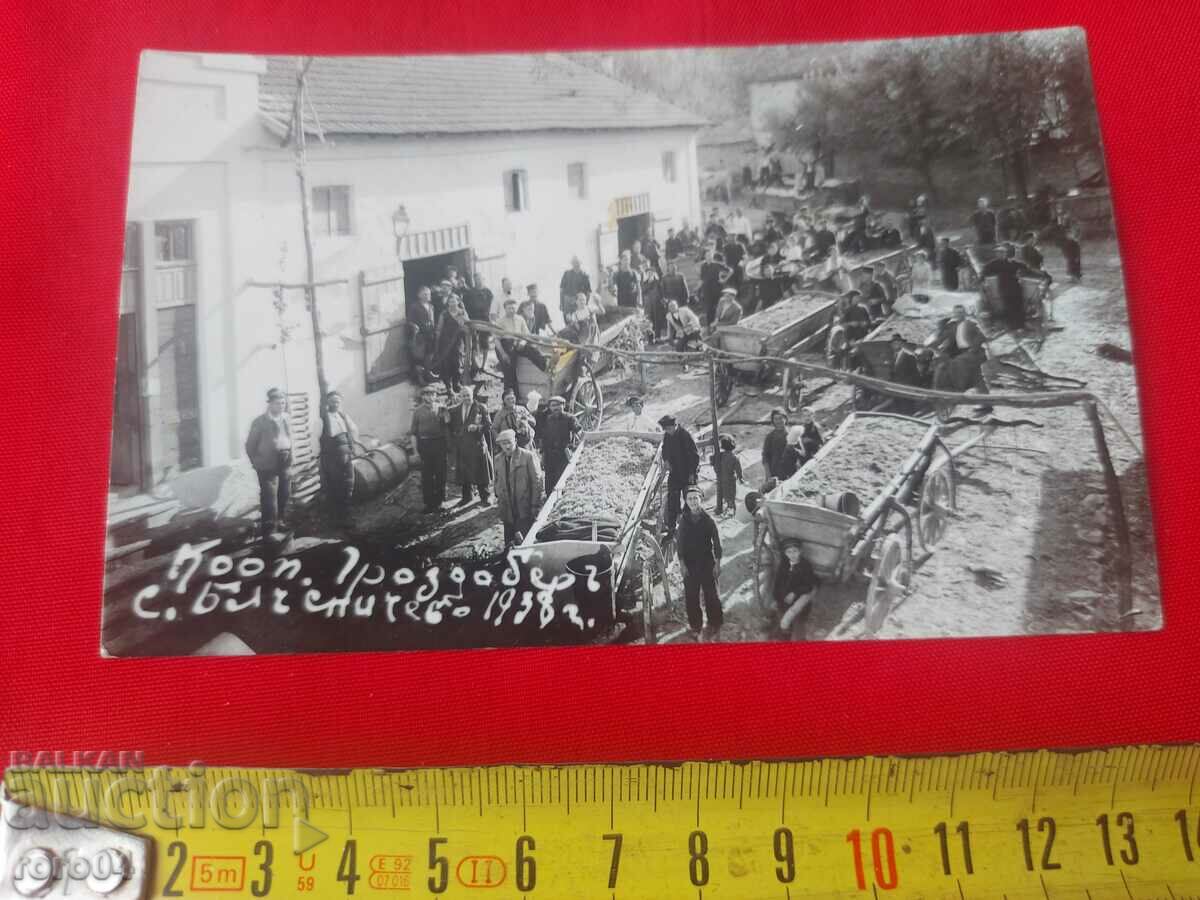 VINTAGE - 1938 with price 31.50 BGN | € 16.11