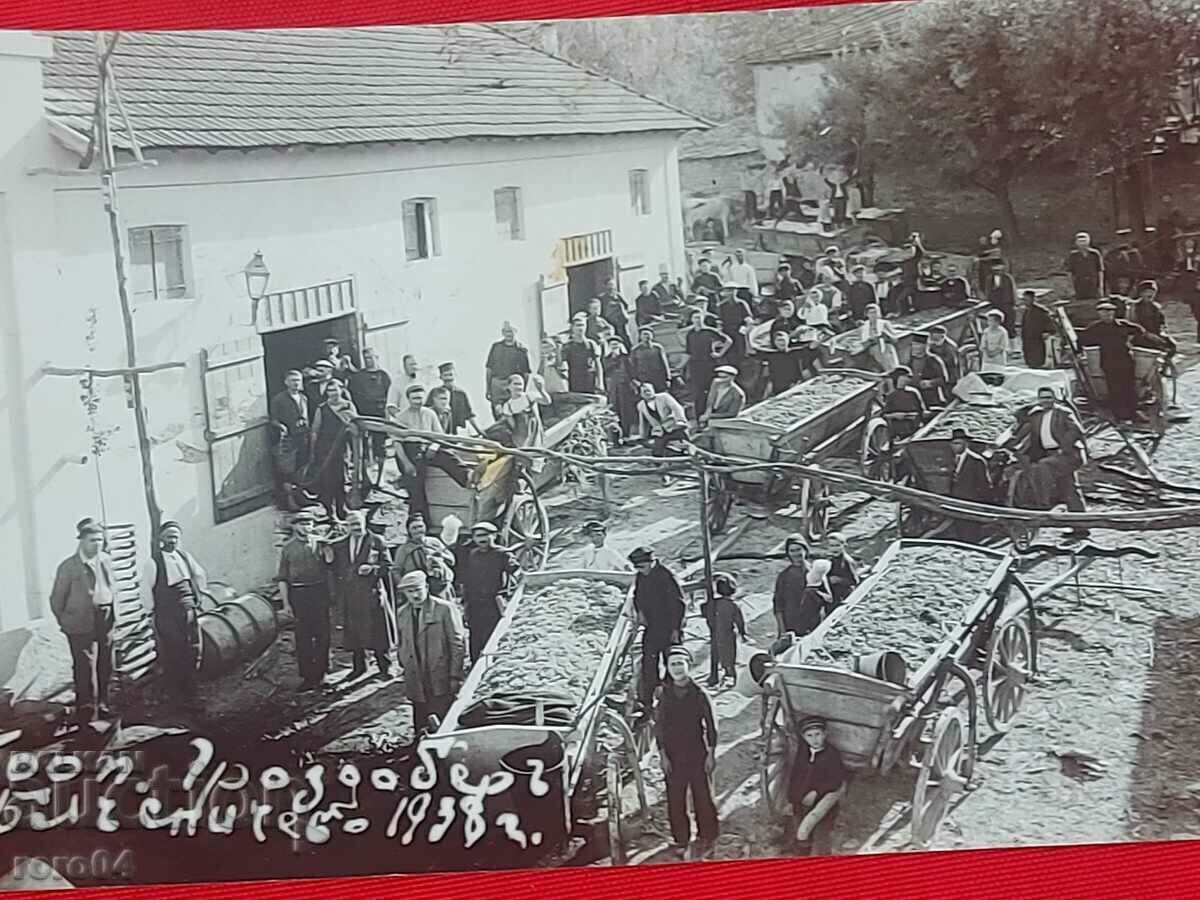 ГРОЗДОБЕР - 1938 г. - 5