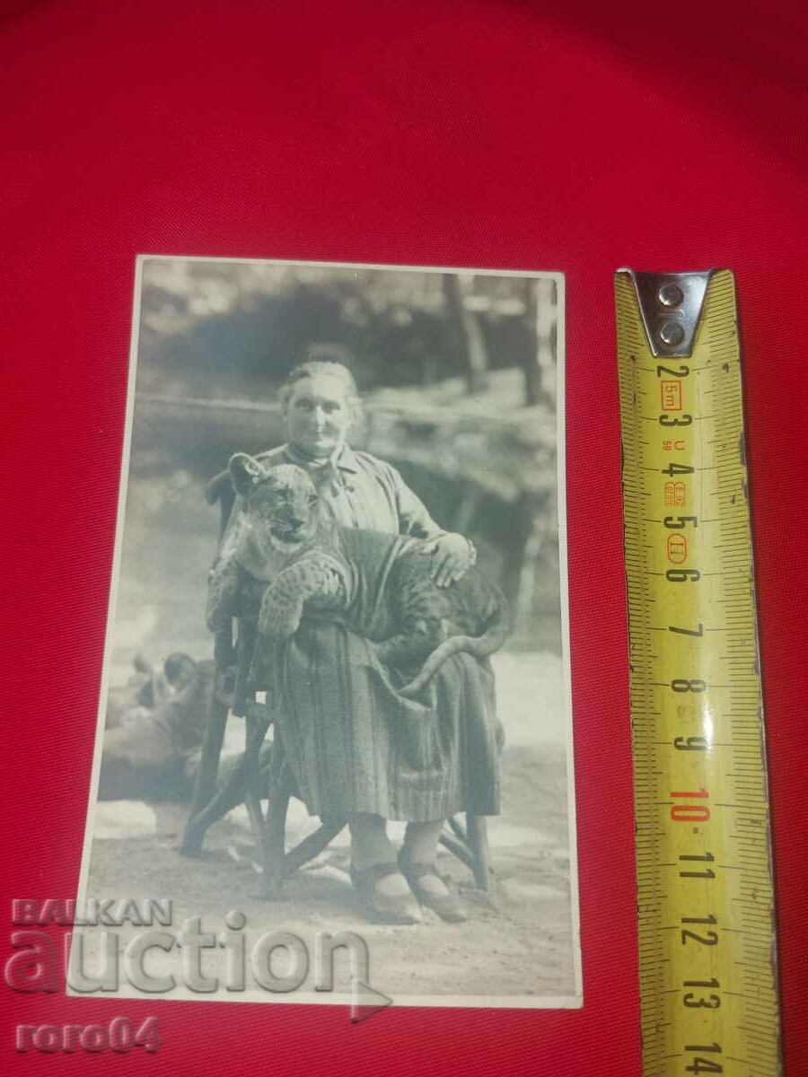 Auction SOMETHING NOT SEEN - A WOMAN WITH A TIGER Auction SOMETHING NOT SEEN - A WOMAN WITH A TIGER