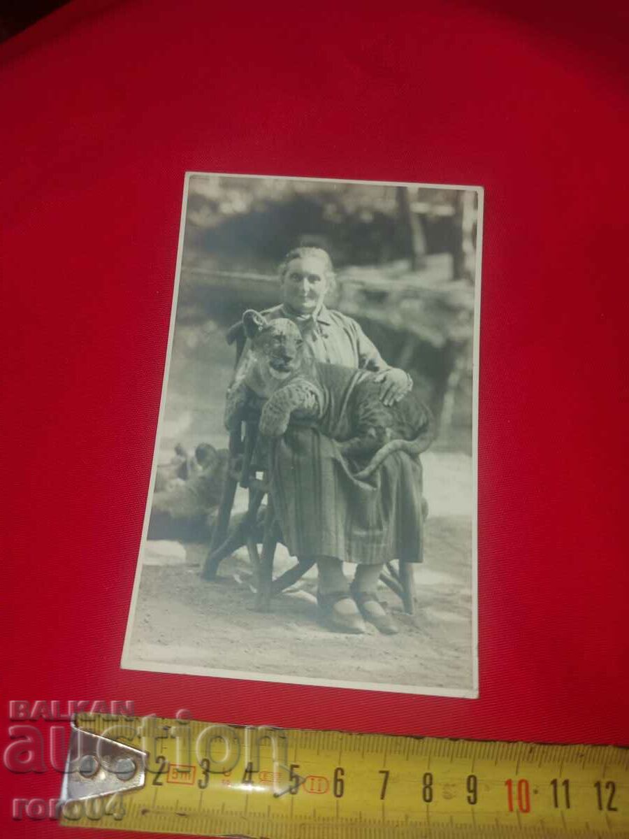 Delivery of SOMETHING NOT SEEN - A WOMAN WITH A TIGER Delivery of SOMETHING NOT SEEN - A WOMAN WITH A TIGER