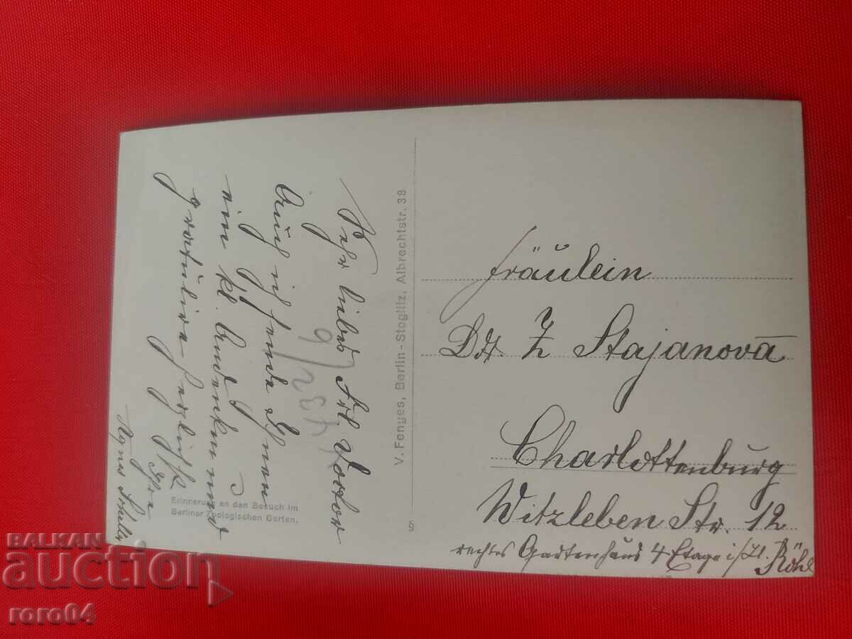 SOMETHING NOT SEEN - A WOMAN WITH A TIGER - 5 SOMETHING NOT SEEN - A WOMAN WITH A TIGER - 5