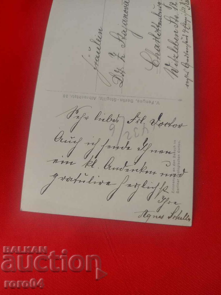 SOMETHING NOT SEEN - A WOMAN WITH A TIGER - 7 SOMETHING NOT SEEN - A WOMAN WITH A TIGER - 7