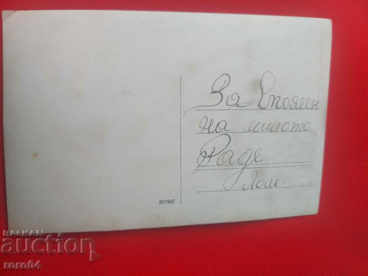 OFIȚER - COPIL - CÂINE - FERIE - 5