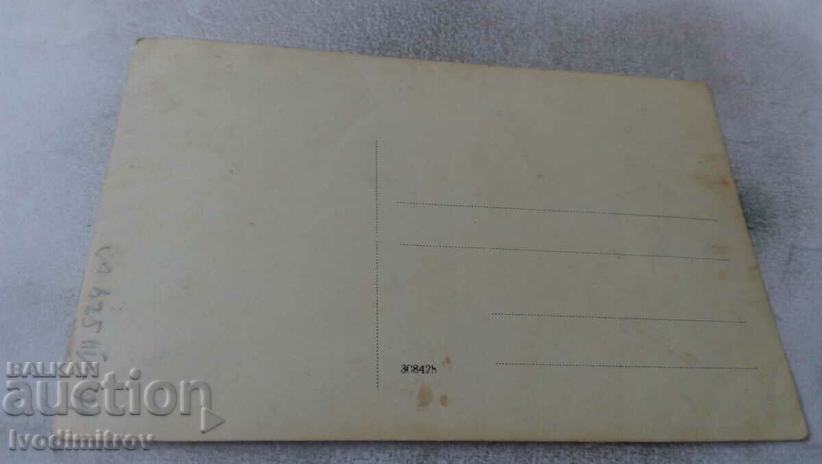 Photo Lying Young Men in the Woods 1924 with price 2.65 BGN | € 1.35 Photo Lying Young Men in the Woods 1924 with price 2.65 BGN | € 1.35