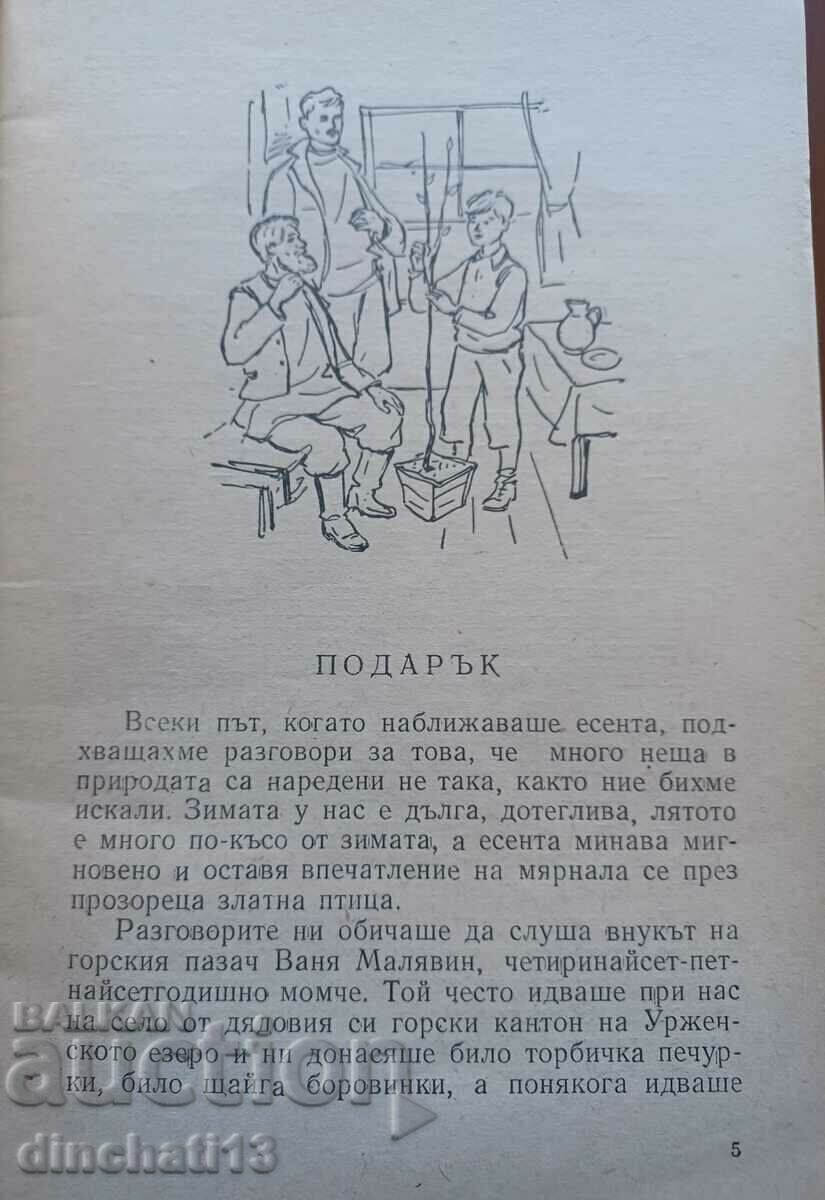 Auction  Gift - Konstantin Paustovski