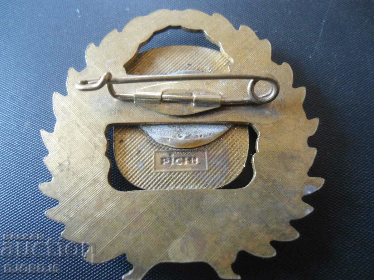 Delivery of An old badge