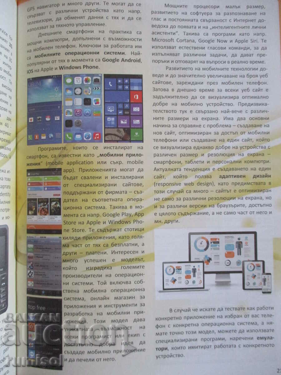 Auction  Information technologies - 8th grade Iv. Ivanov