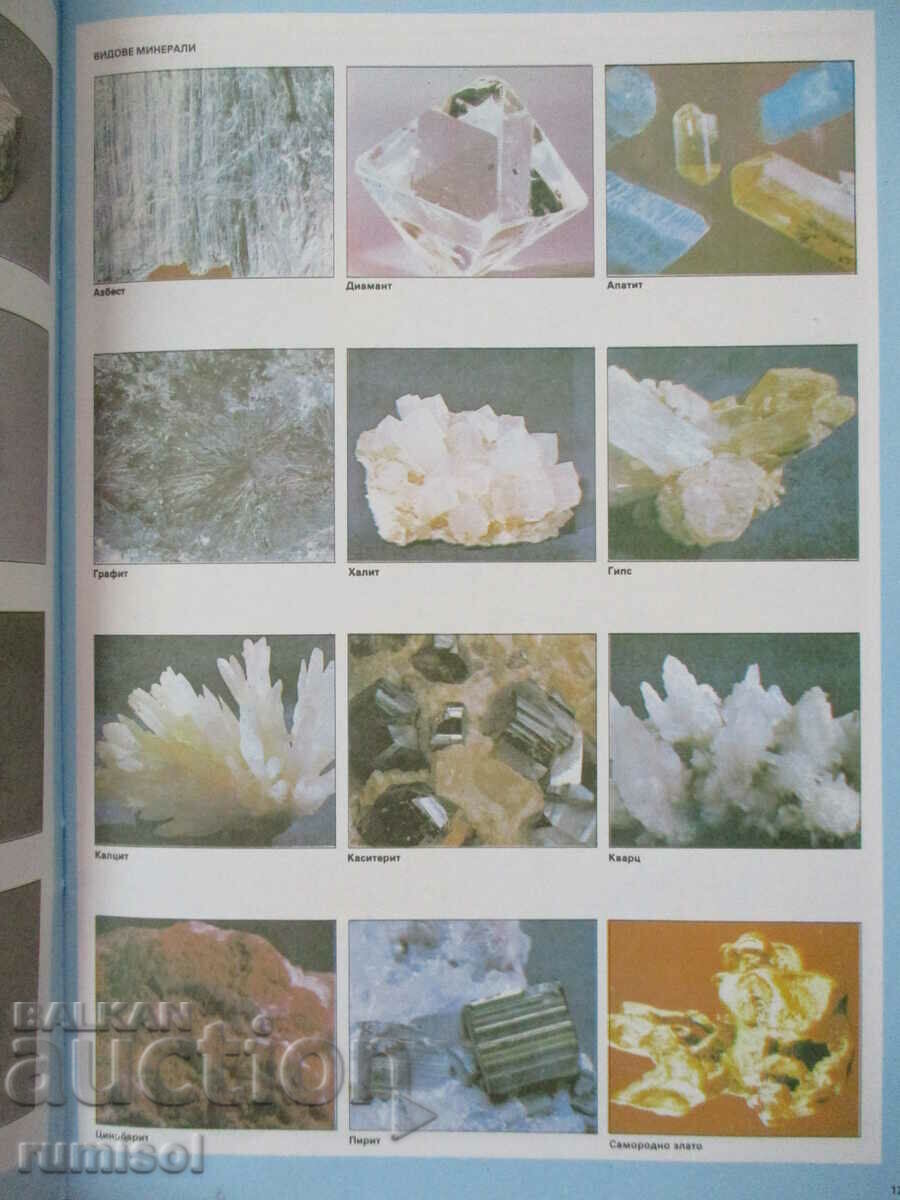 Delivery of Geography Atlas - 8th grade, Cartography