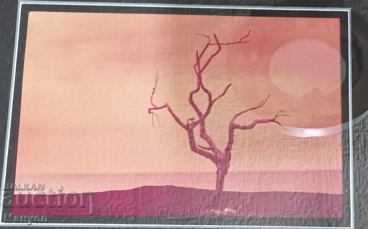 I am selling a painting by Dimitar Iliev. with price 150.00 BGN | € 76.69 I am selling a painting by Dimitar Iliev. with price 150.00 BGN | € 76.69