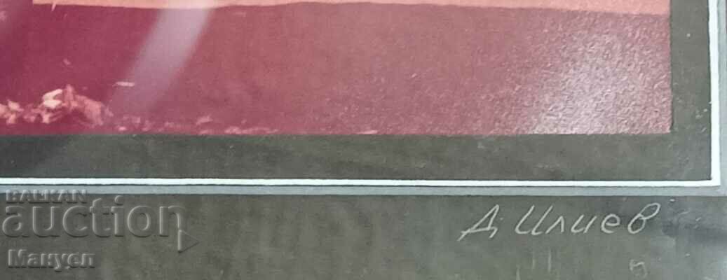 Delivery of I am selling a painting by Dimitar Iliev. Delivery of I am selling a painting by Dimitar Iliev.