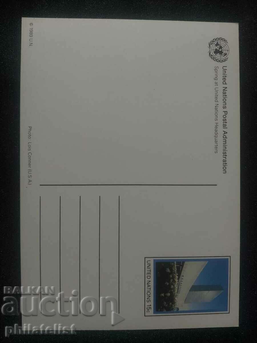 United Nations 1989 - Postcard - United Nations with price 1.05 BGN | € 0.54