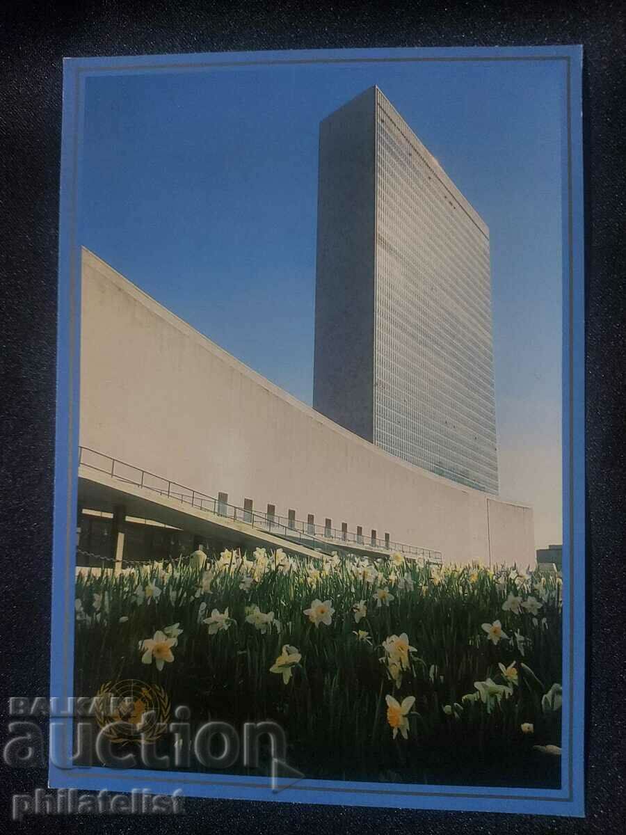 ООН 1989 - Пощенска картичка - United Nations