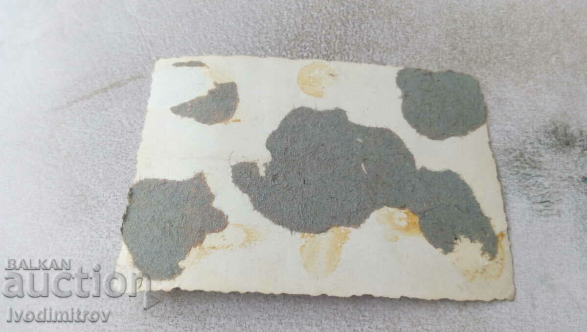 Photo Sofia A man and a young girl on a walk with price 2.35 BGN | € 1.20 Photo Sofia A man and a young girl on a walk with price 2.35 BGN | € 1.20