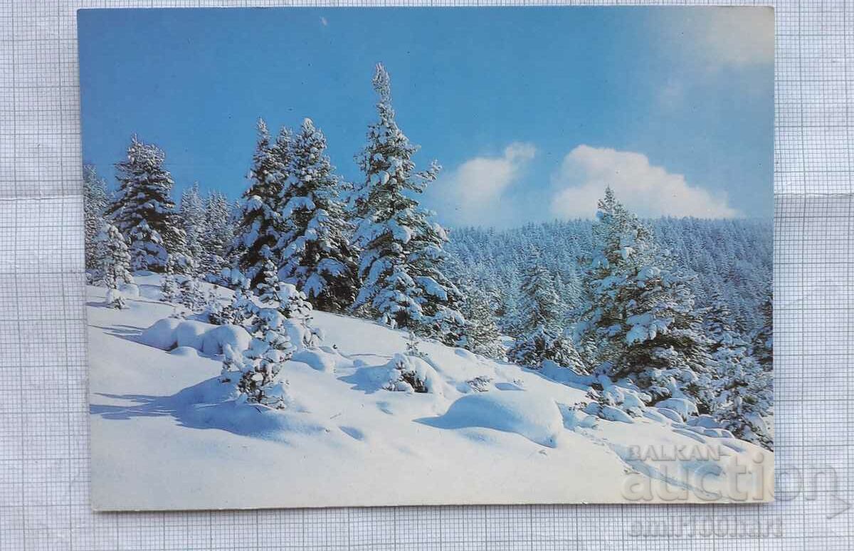 Card - Rila Peisaj de iarnă