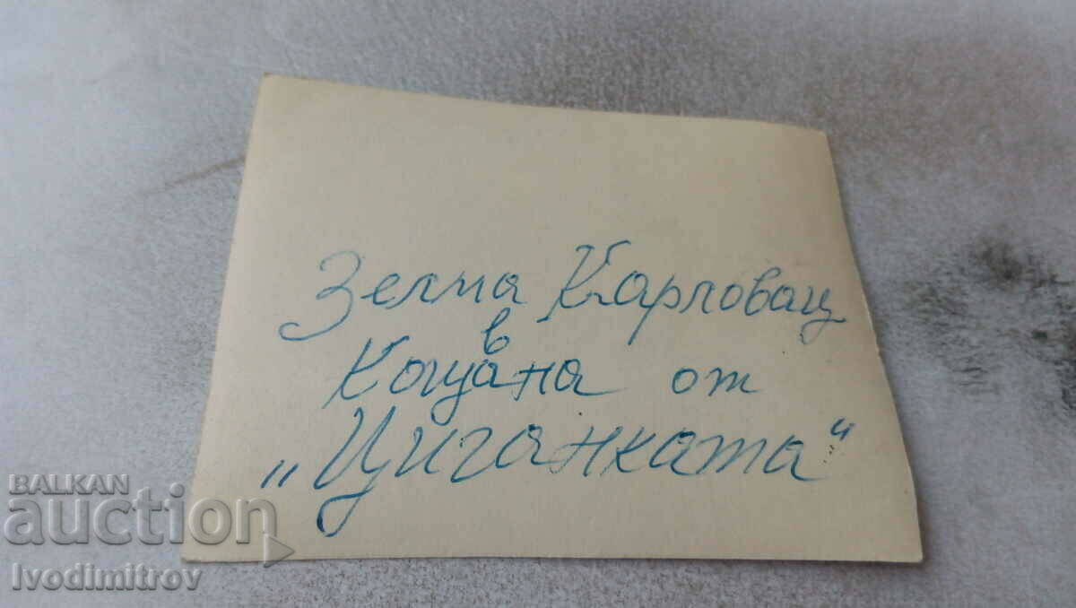 Photo Zelma Karlovac with price 0.85 BGN | € 0.43 Photo Zelma Karlovac with price 0.85 BGN | € 0.43