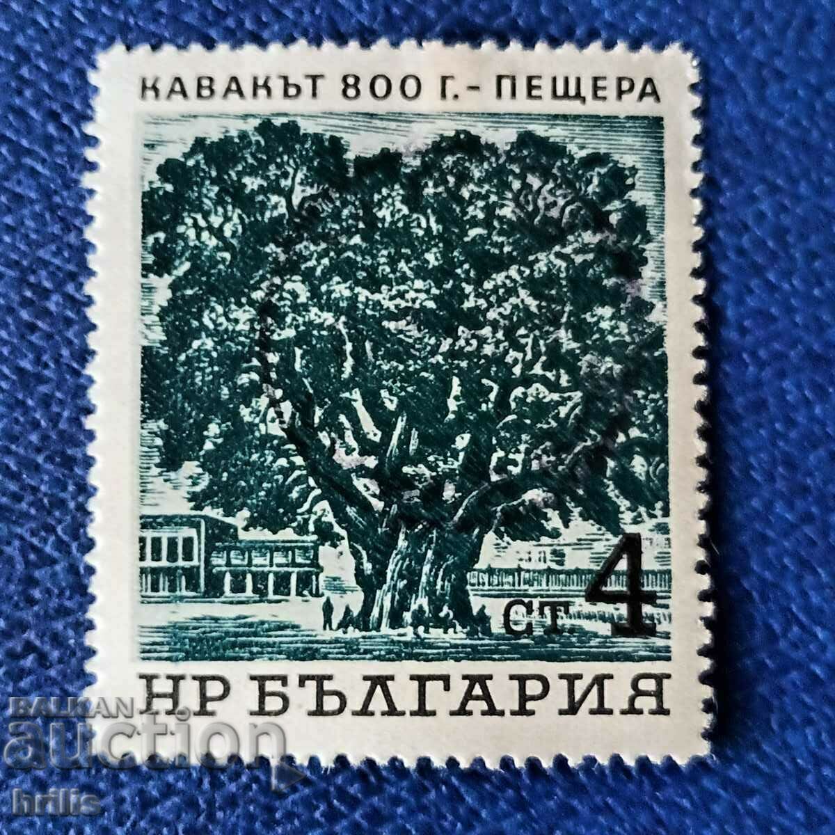 BULGARIA 1964 - CENTURY TREES