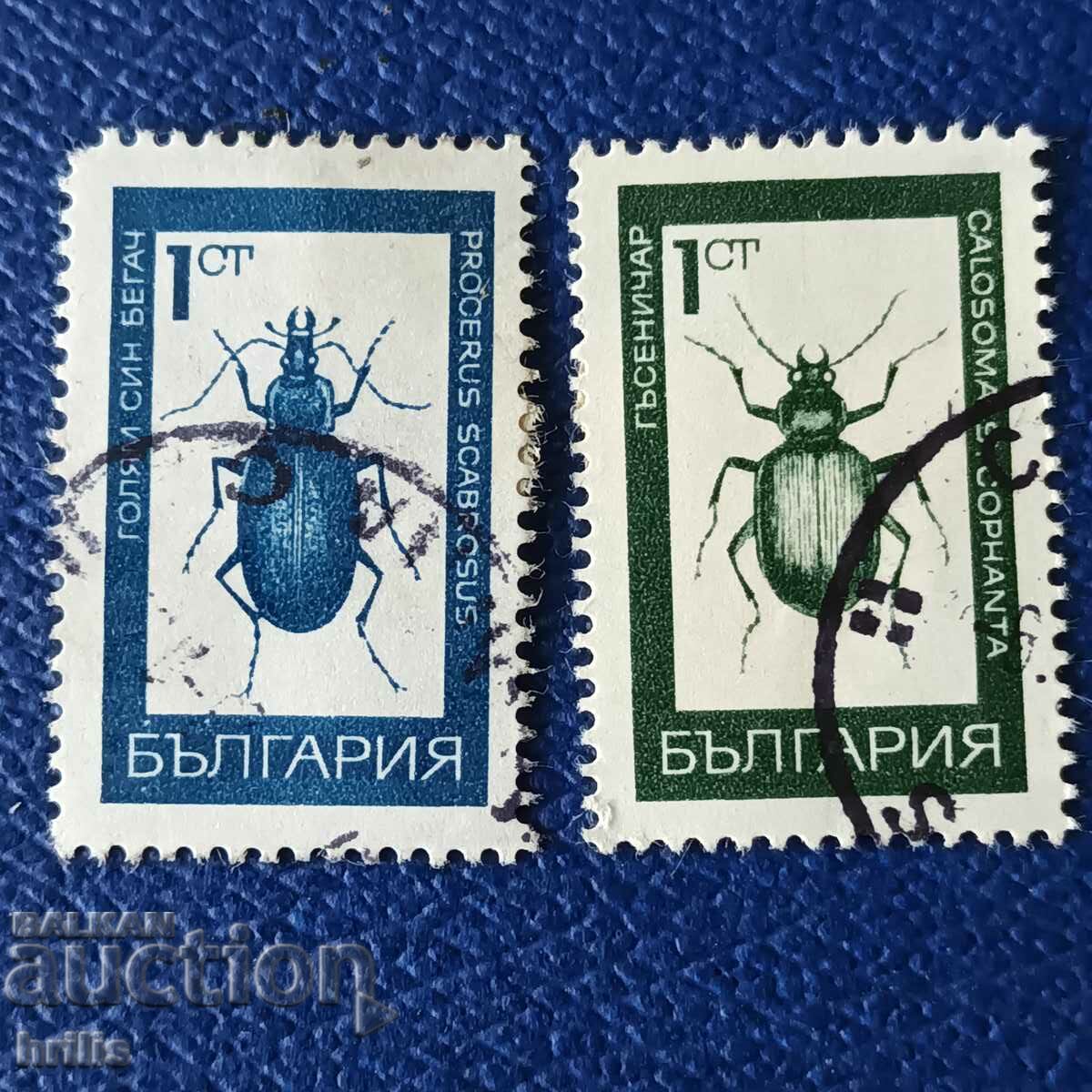 BULGARIA ANII 1960 - FAUNA, SPECIE DE Gândaci