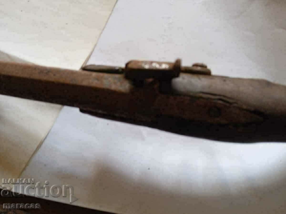 Delivery of Capsule gun Delivery of Capsule gun