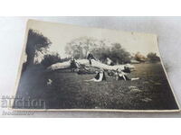 Photo Young men and women next to a fallen tree in a meadow