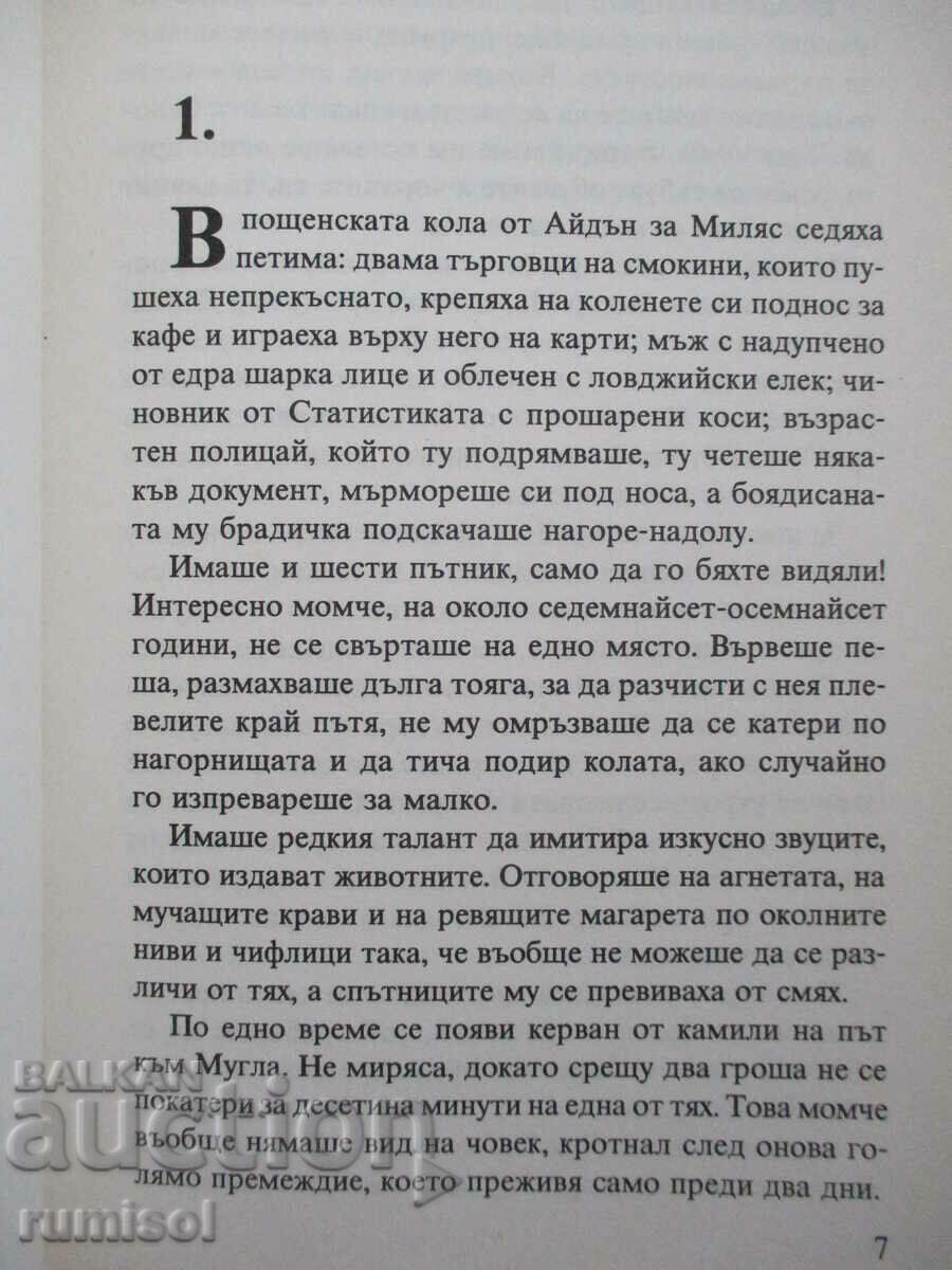 Auction Fiery Night - Nuri decide Auction Fiery Night - Nuri decide