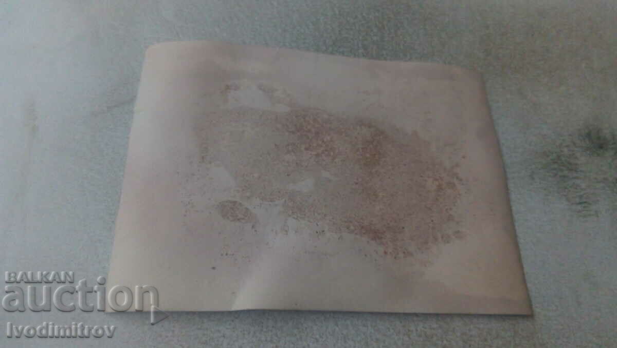 Photo Young men young women and baby in the park with price 0.65 BGN | € 0.33