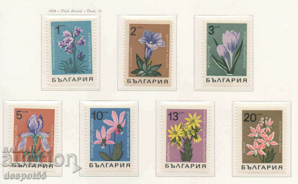 1968. България. Цветя.