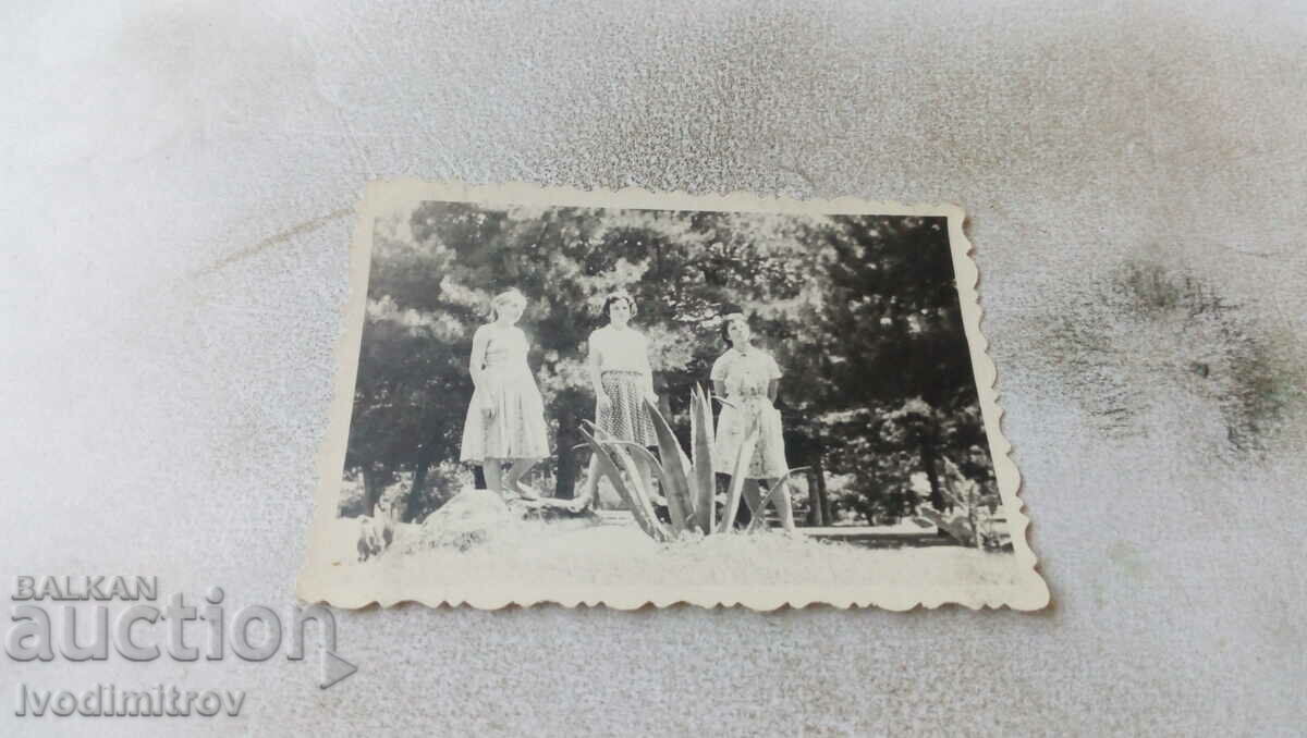 Φωτογραφία Τρία νεαρά κορίτσια στο πάρκο