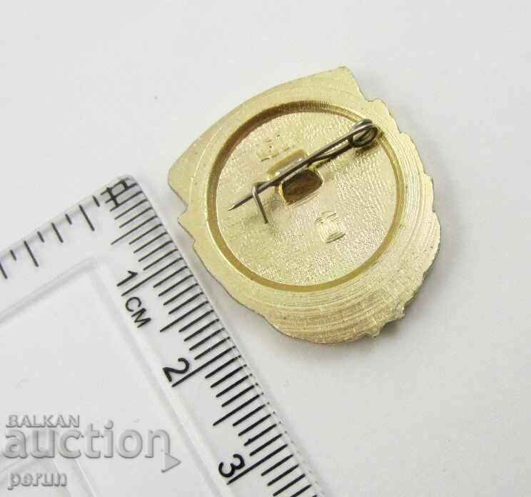 Auction  Veteran of the war of the USSR - Commemorative badge