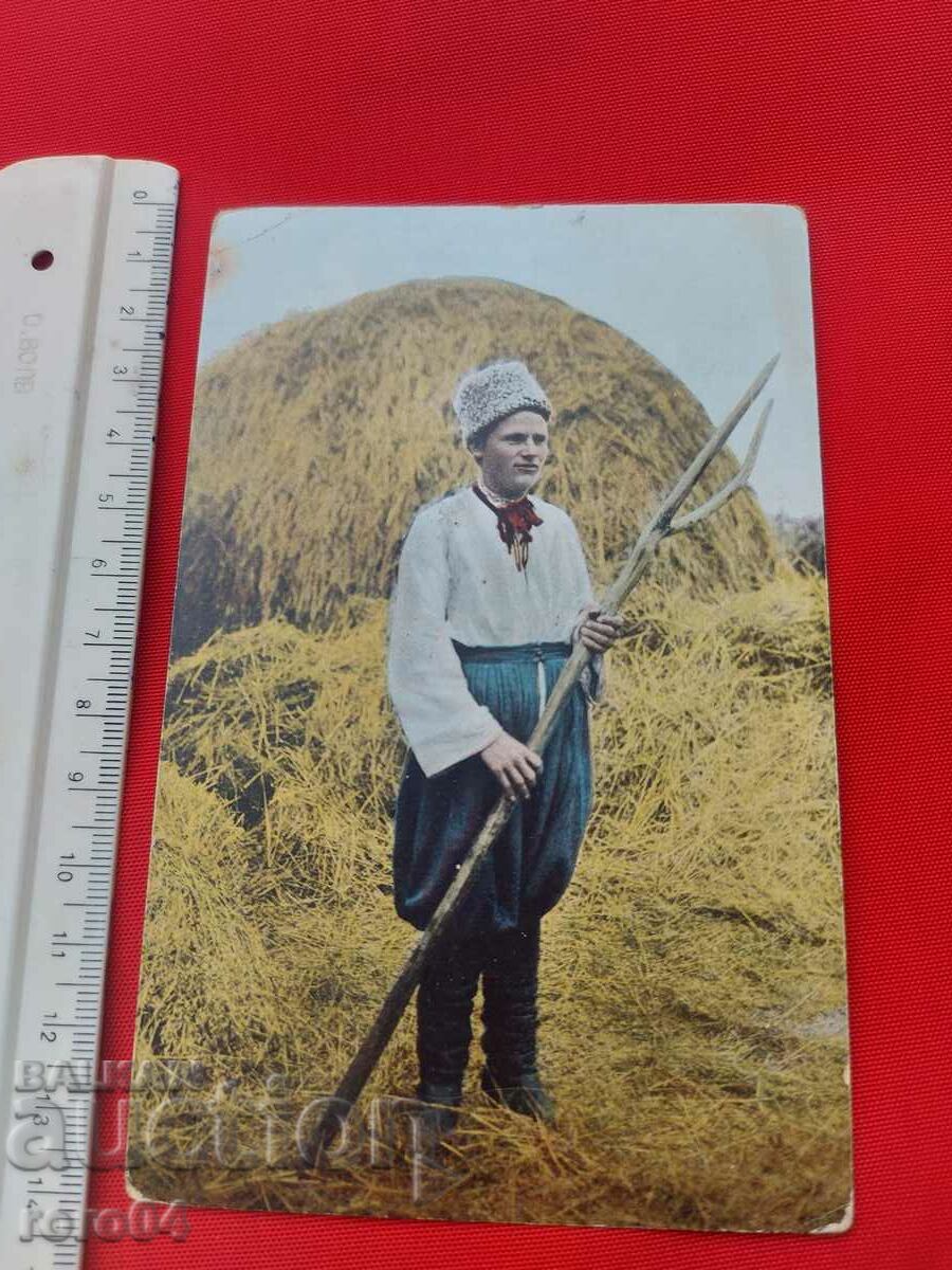 Δημοπρασία ΟΥΚΡΑΝΙΑ - ΜΑΧΗ - ΚΟΣΜΟΥΛΕΣ - ΤΟΠΙΑ - Α' Π.Π Δημοπρασία ΟΥΚΡΑΝΙΑ - ΜΑΧΗ - ΚΟΣΜΟΥΛΕΣ - ΤΟΠΙΑ - Α' Π.Π