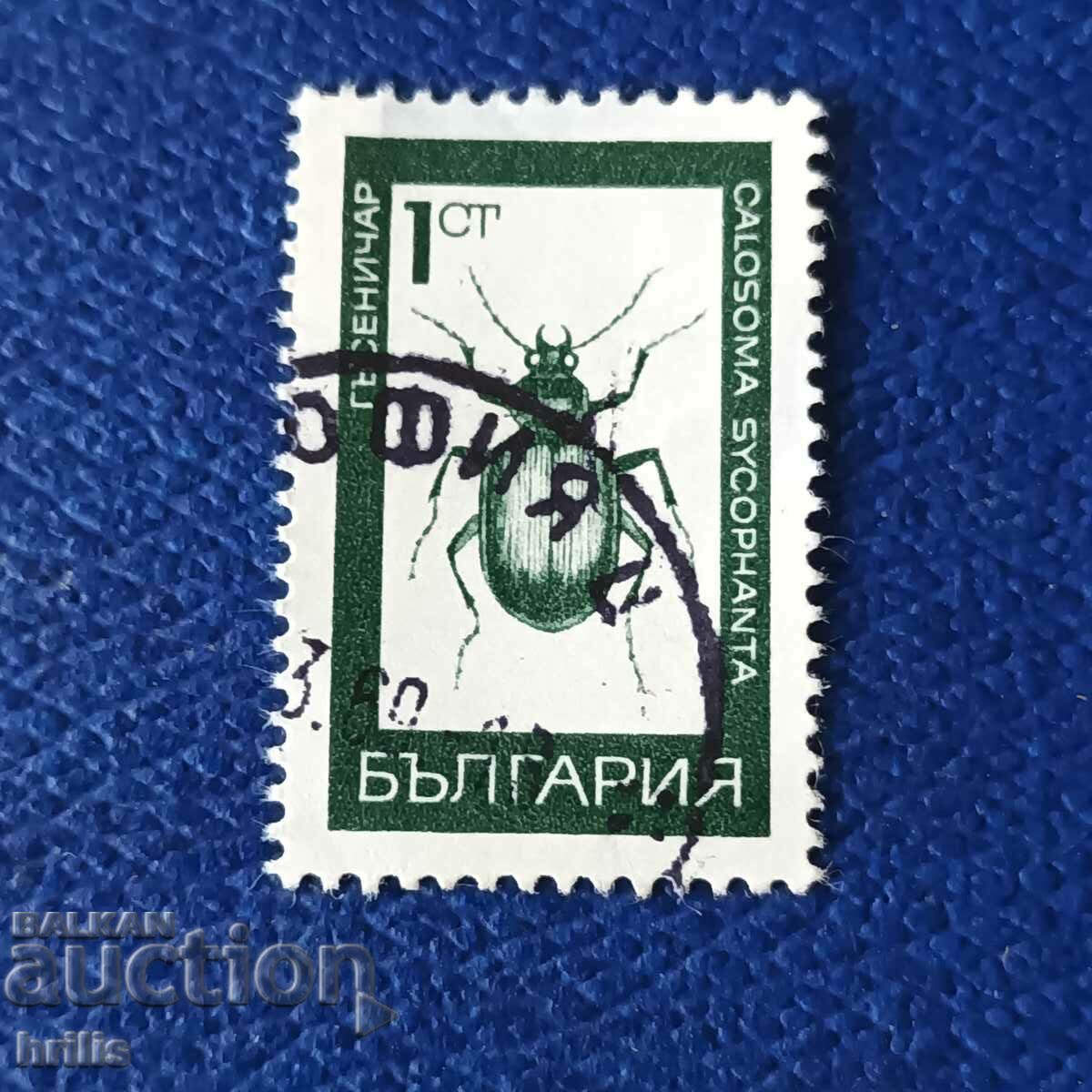 БЪЛГАРИЯ 1969 - ФАУНА, НАСЕКОМИ