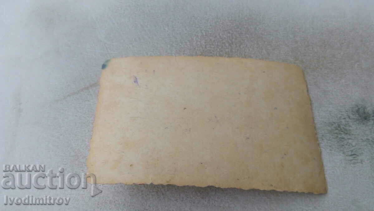 Photo Two young girls among blooming daisies with price 0.75 BGN | € 0.38 Photo Two young girls among blooming daisies with price 0.75 BGN | € 0.38