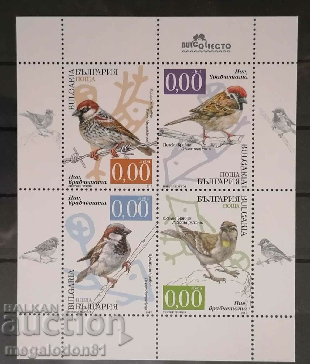 Bulgaria - sparrows, souvenir block, 2017