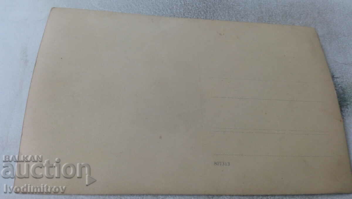 Photo A young man and two young girls by the river with price 1.55 BGN | € 0.79 Photo A young man and two young girls by the river with price 1.55 BGN | € 0.79