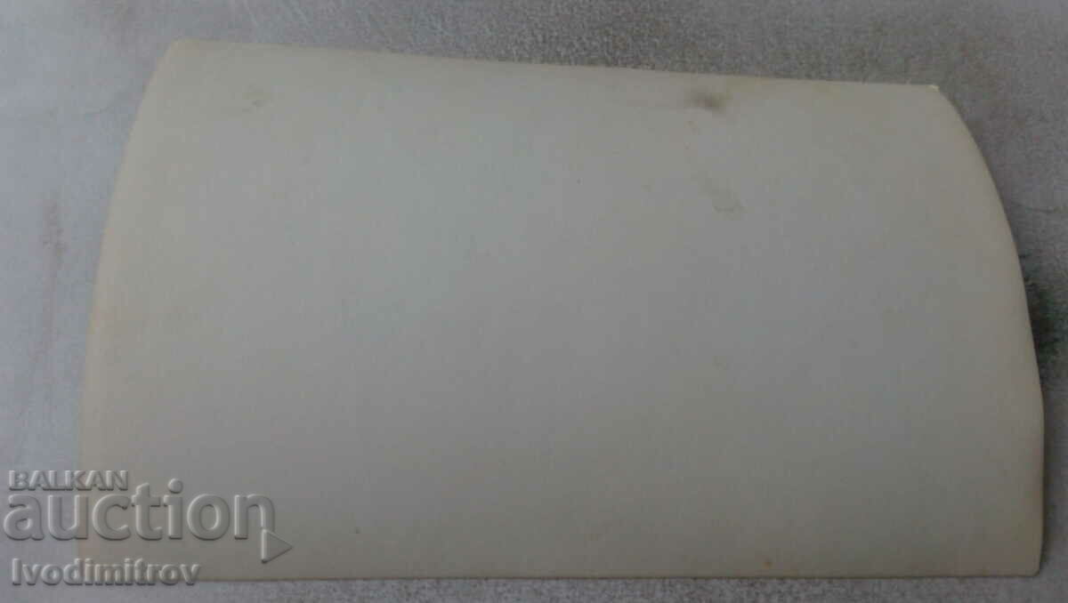 Φωτογραφία Μικρό αγόρι με έναν κύκνο με τιμή 0.65 BGN | € 0.33 Φωτογραφία Μικρό αγόρι με έναν κύκνο με τιμή 0.65 BGN | € 0.33