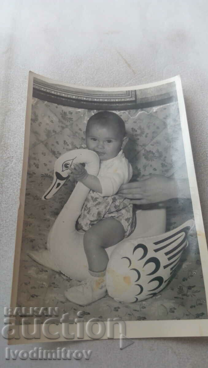 Foto Băiețel cu o lebădă