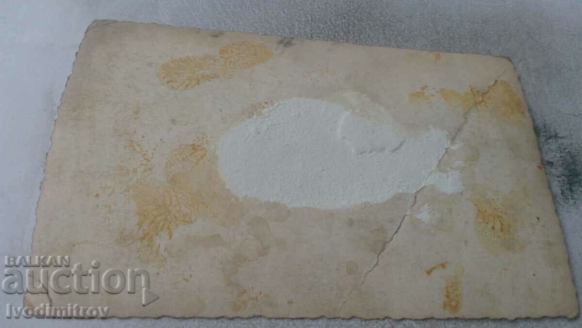 Φωτογραφία Αξιωματικοί και άνδρες στο πάρκο με τιμή 1.45 BGN | € 0.74 Φωτογραφία Αξιωματικοί και άνδρες στο πάρκο με τιμή 1.45 BGN | € 0.74