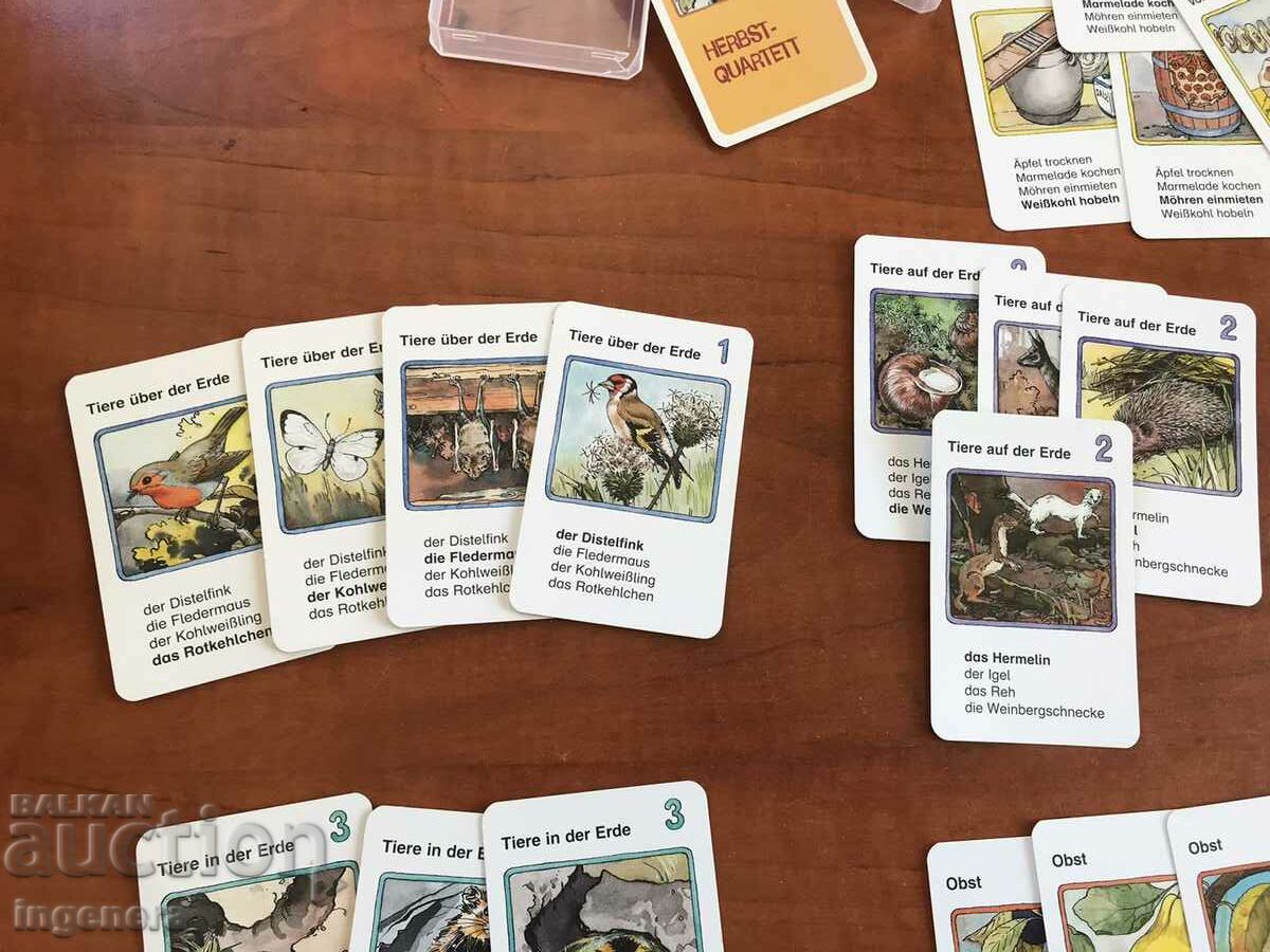 Auction CARDS EDUCATIONAL FOR KIDS GAME DECK Auction CARDS EDUCATIONAL FOR KIDS GAME DECK