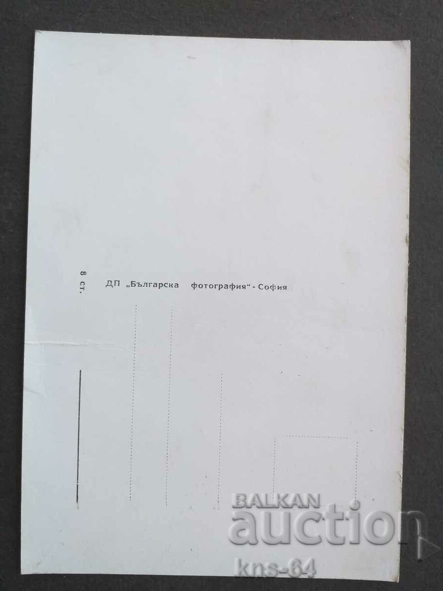 Τζίνα Λολομπριγκίτα με τιμή 0.95 BGN | € 0.49