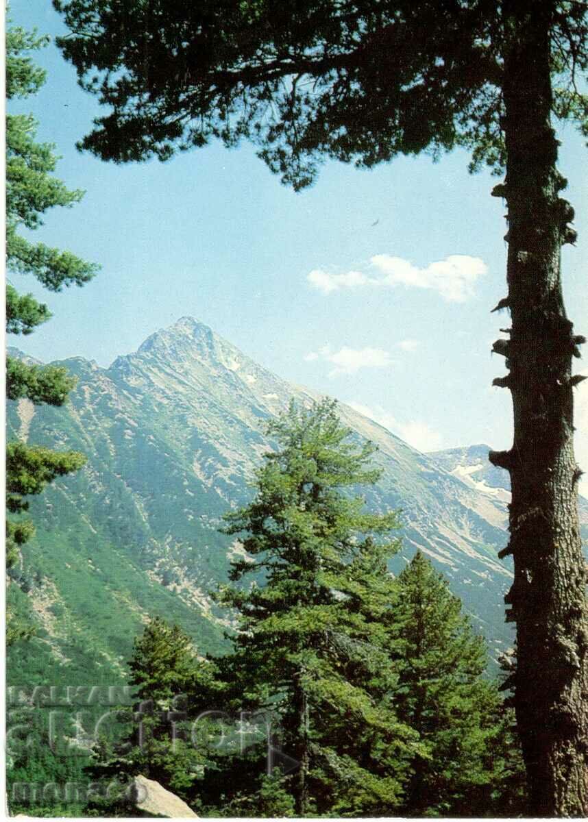 Παλιά καρτ ποστάλ - Pirin, Mount Gazei